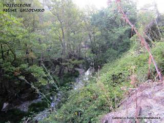 stoleone-31-08-2015 09-05-57
